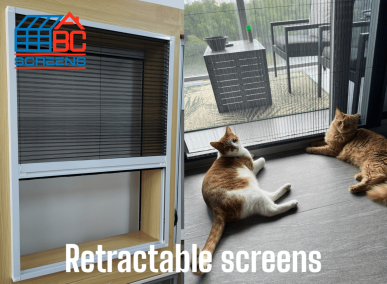 PhotoRoom-20230715_153150